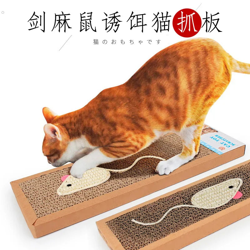 Cat Accessories