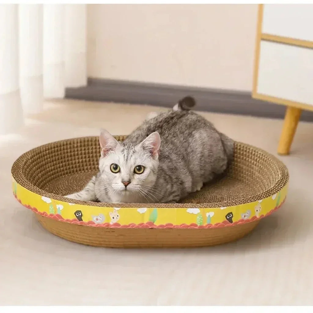 Cat Accessories