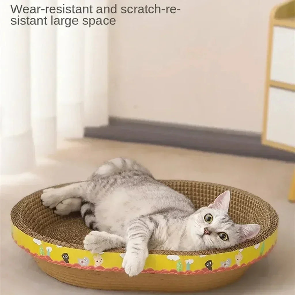 Cat Accessories