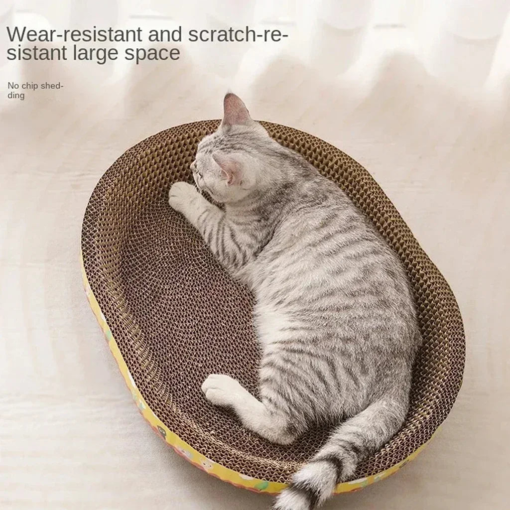Cat Accessories